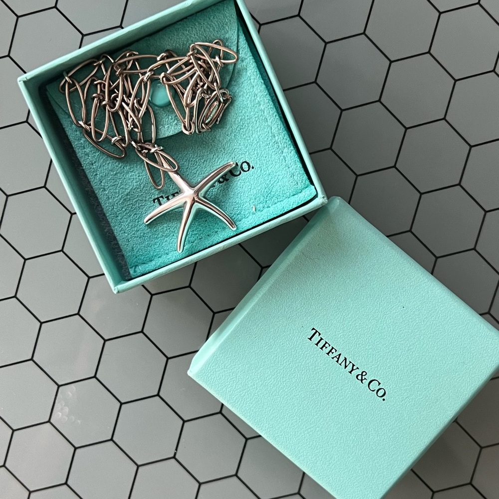 RARE Tiffany & Co. Elsa Peretti LARGE Starfish Necklace - Heavy Chain Full Set